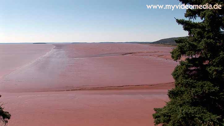low tide in the Bay of Fundy