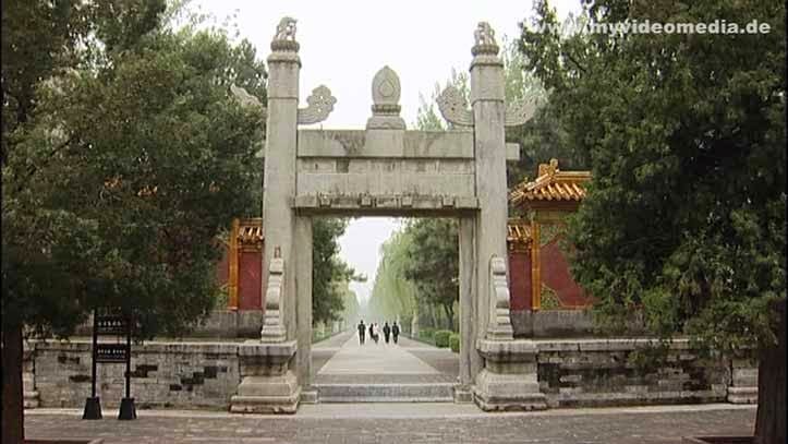 phoenix gate