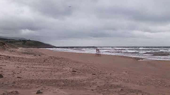 sandy beaches in Long Point Provincial park