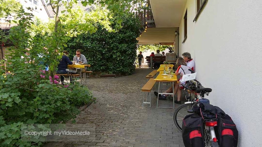 seasonal wine tavern