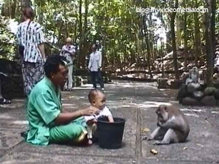heiliger Affenwald Ubud 