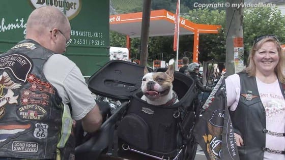 Harley und Wein 2014