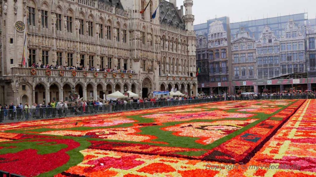 FlowerCarpet_1010193