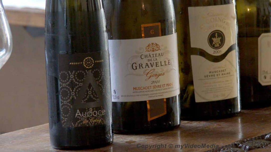 Muscadet wines
