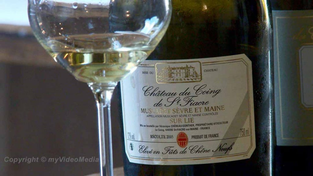 Muscadet sur Lie