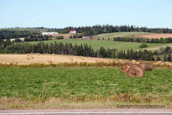 Prince Edward Island