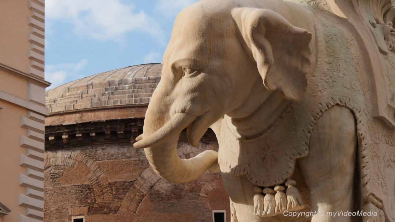 Elephant Rome