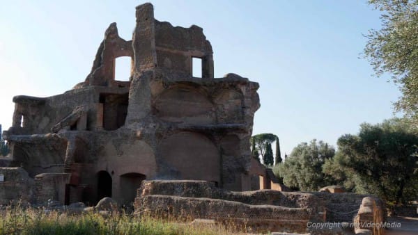 Roman and Greek library