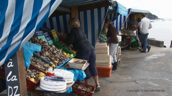 Cancale oysters