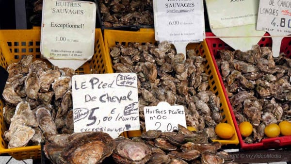 Cancale oysters