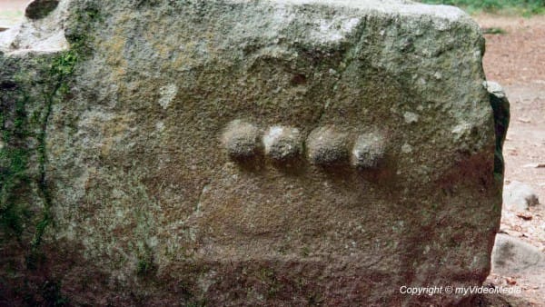 Tresse Maison des Fees