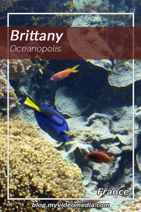 Oceanopolis Brittany - France