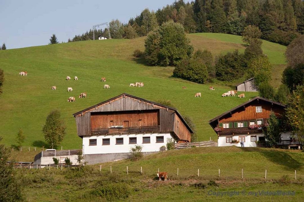 Hochkoenig