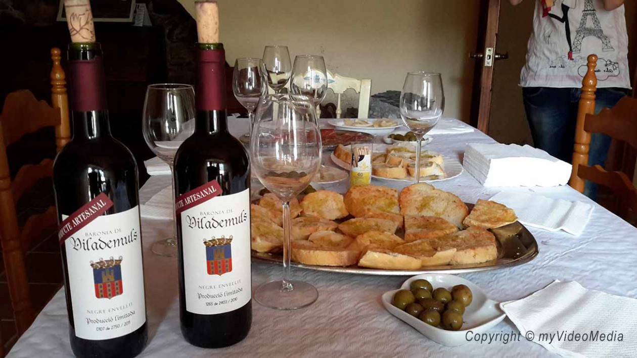 Weinprobe Baronia de Vilademuls