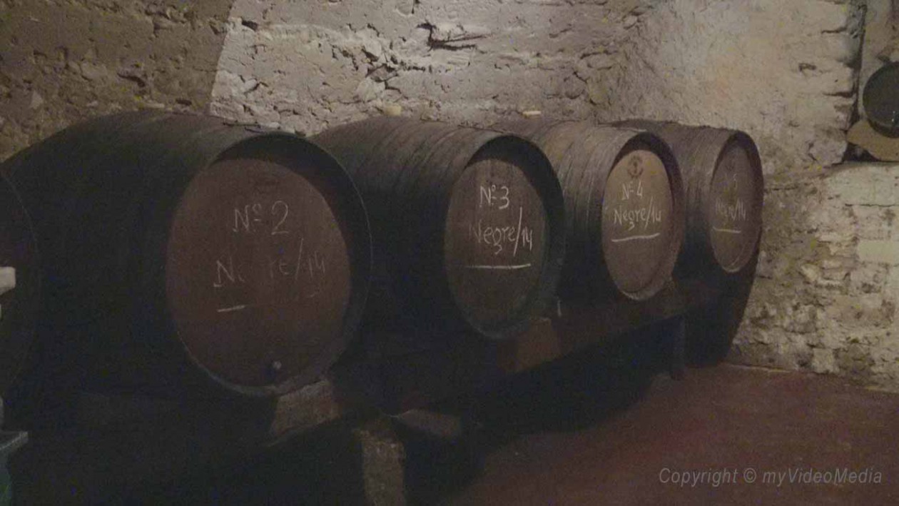 Weinkeller Baronia de Vilademuls