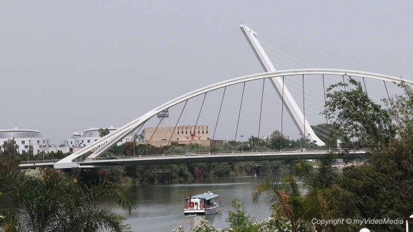 Puente del Alamillo