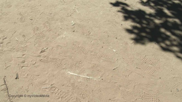 bones Killing Fields Phnom Penh