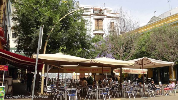 Alameda de Hercules Seville