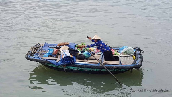 Verkäufer Ha Long Bucht