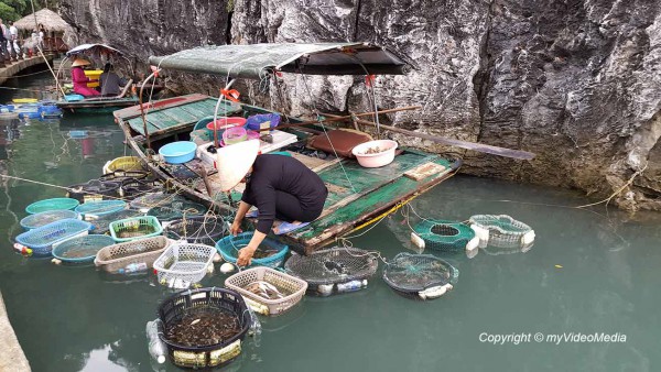 Fischverkäufer Ha Long Bucht