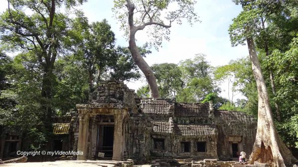 Ta Prohm temple in the dschungel