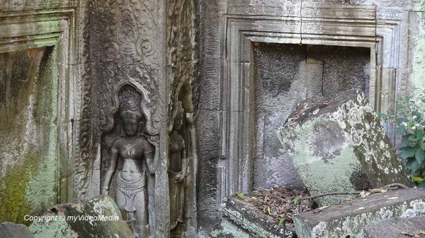 Stone carvings Ta Prohm