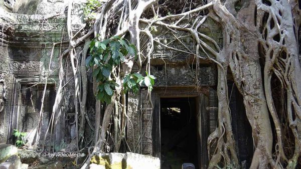 movie set Tomb Raider