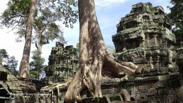 Ta Prohm