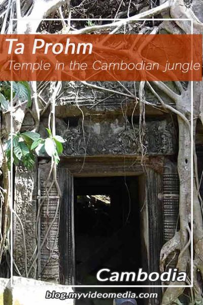 Ta prohm Cambodia