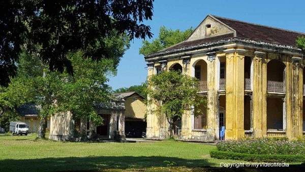 Forbidden Purple City