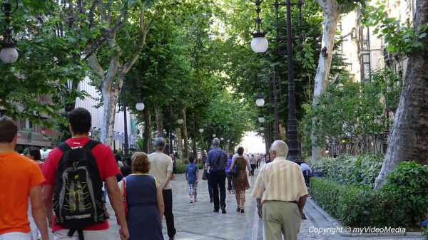 Calle Reyes Catolicos