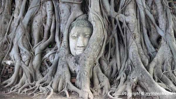 Ayutthaya Wat Mahathat