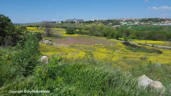 Vantage point Cuatro Postes