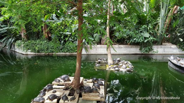 Atocha Train Station Madrid