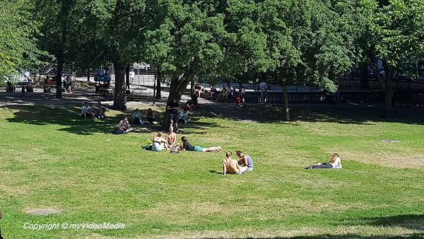 Soedermalm Björns tradgard