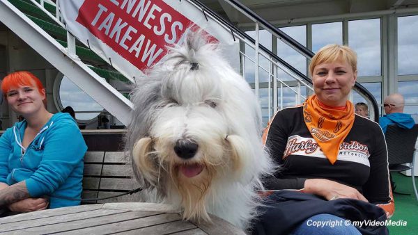 Ferry from Helsinki to Tallinn