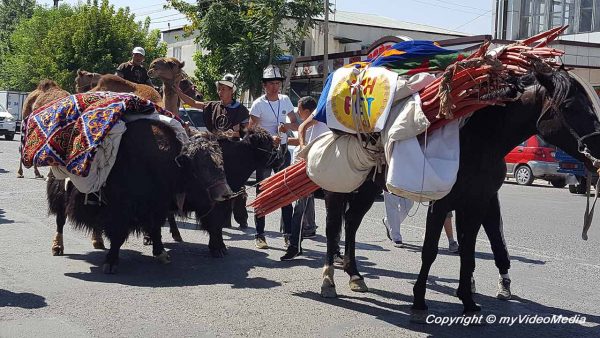 Osh Fest - the caravan