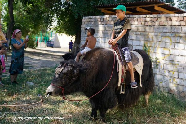 Osh Fest 2017 - Sammelpunkt der Karawane