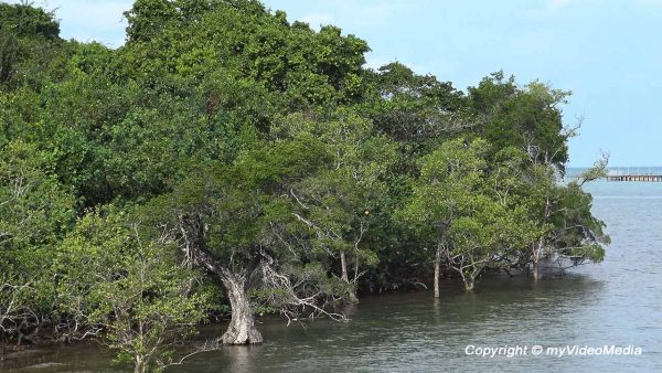 Von Ko Chang nach Bangkok