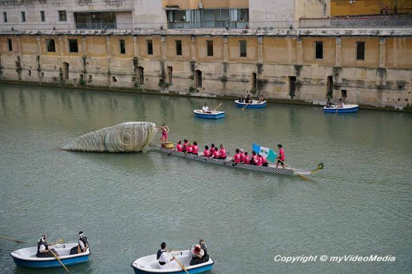 Arrival of the Sardine