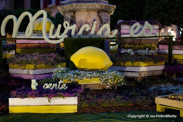 First steps in Murcia