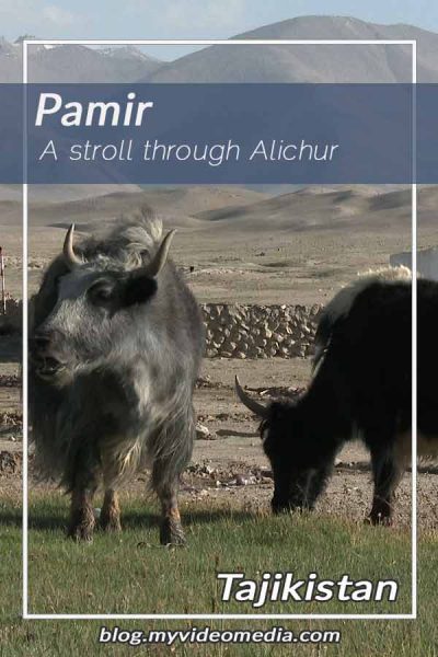 A stroll through Alichur