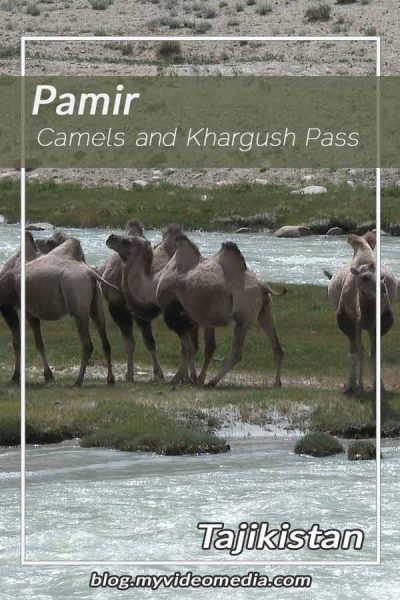 Camels-and-Passing-the-Khargush-Pass-c