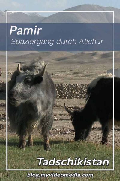 Spaziergang durch Alichur