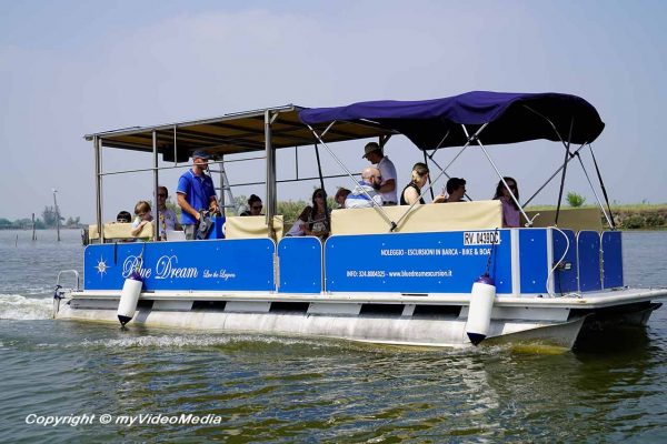 Blue dream excursions