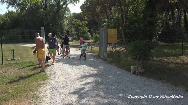 Begrüßung und Einführung in Marina di Venezia