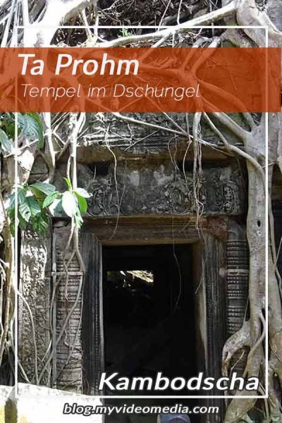 Ta prohm Kambodscha