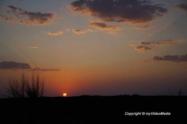 Sunset Safari Yurt Camp