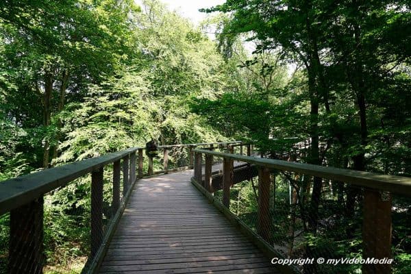 Baumwipfelpfad Saarschleife