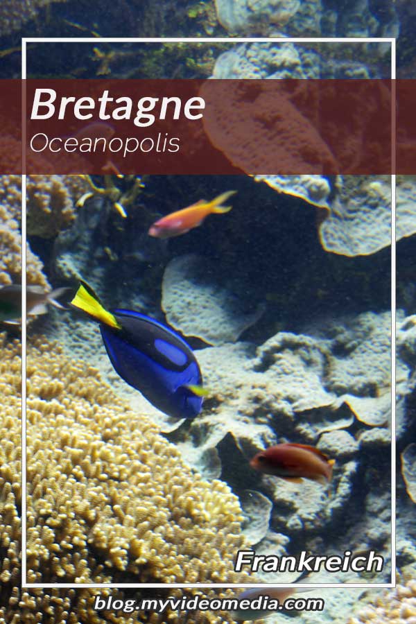 Oceanopolis Bretagne - Frankreich